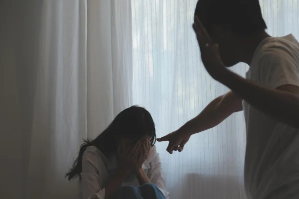 violencia doméstica y familiar en madrid procedimientos penales familiares